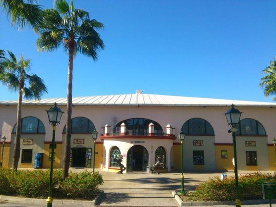 la Escuela de Arte Ecuestre Costa del Sol